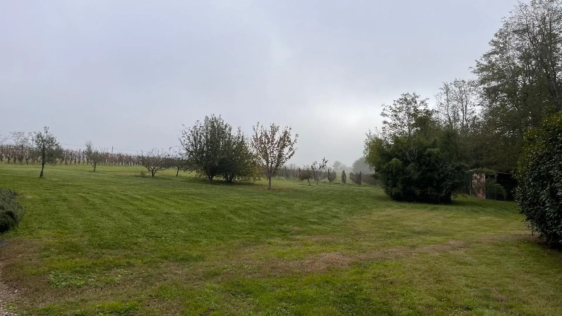 Villa Al Vigneto Vigolzone Italia